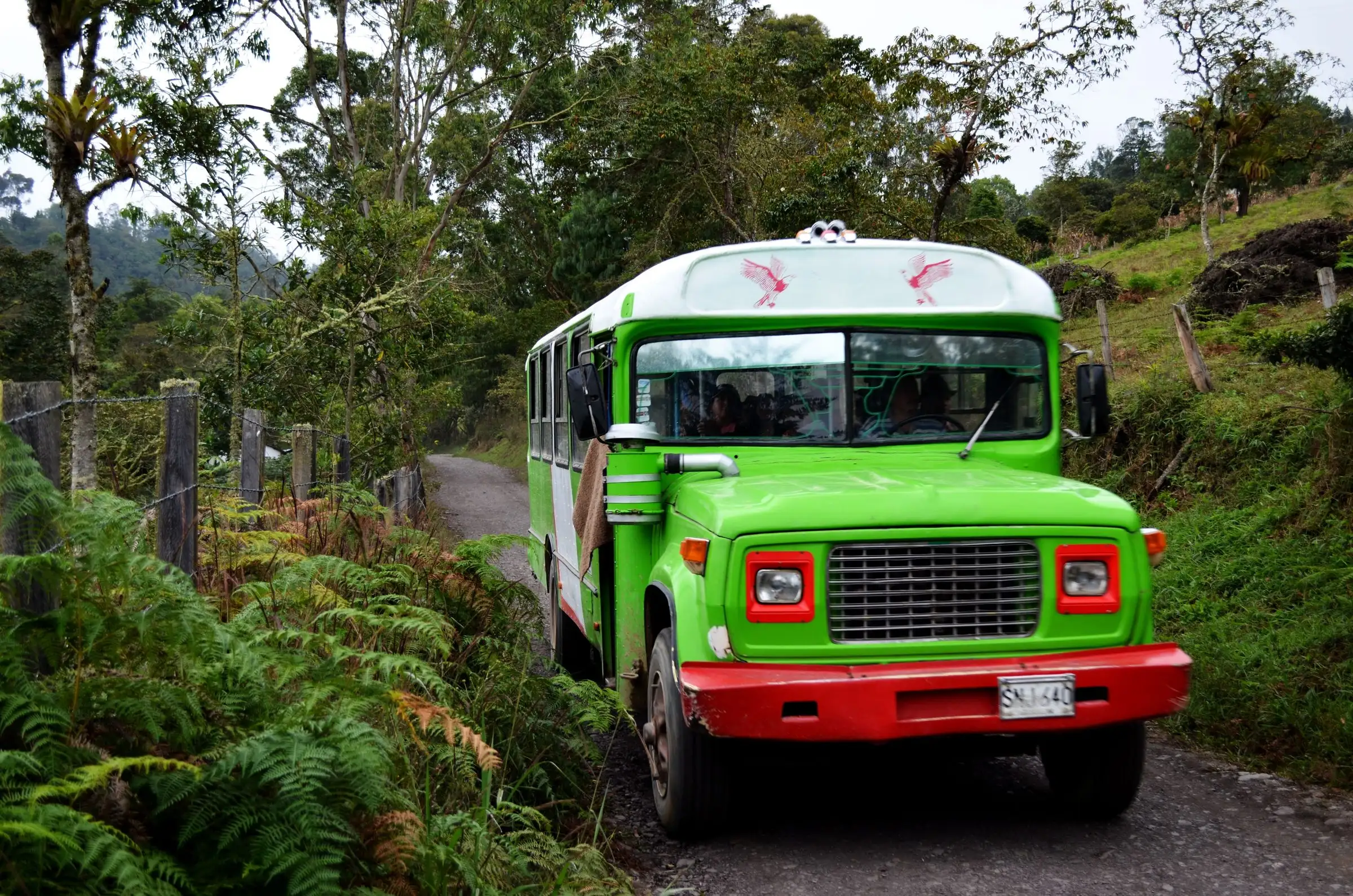 A green and red bus driving along a country road through lush vegetation in Colombia